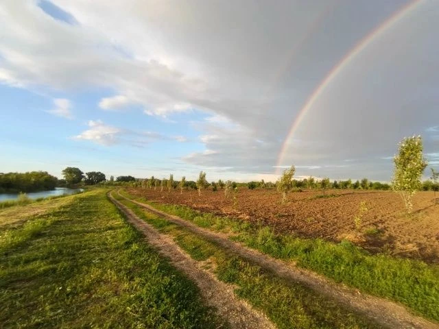 🌳 «Здоровый город начинается с тебя!»: Фроловская миля ко Дню города