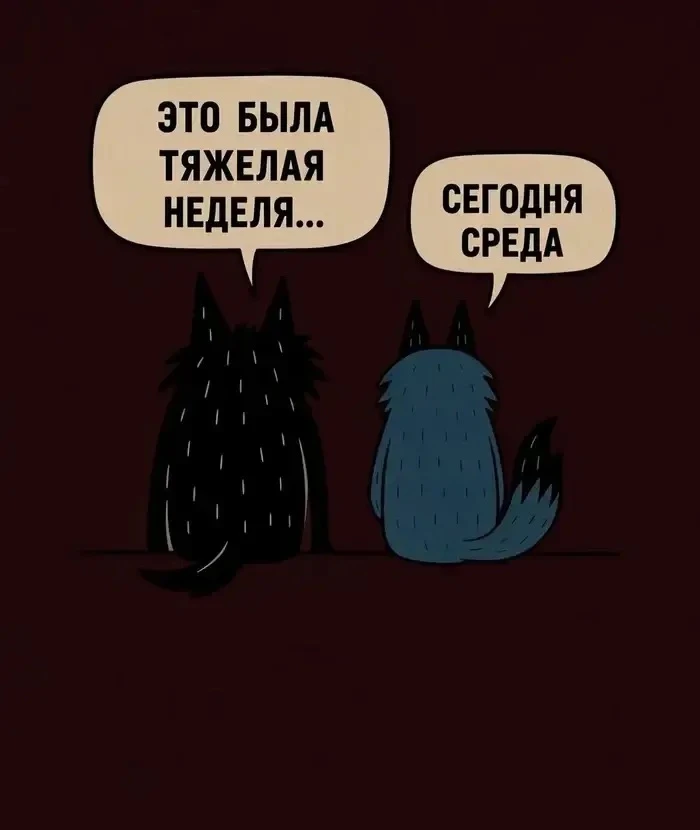 Коротко о нашей работе 😂