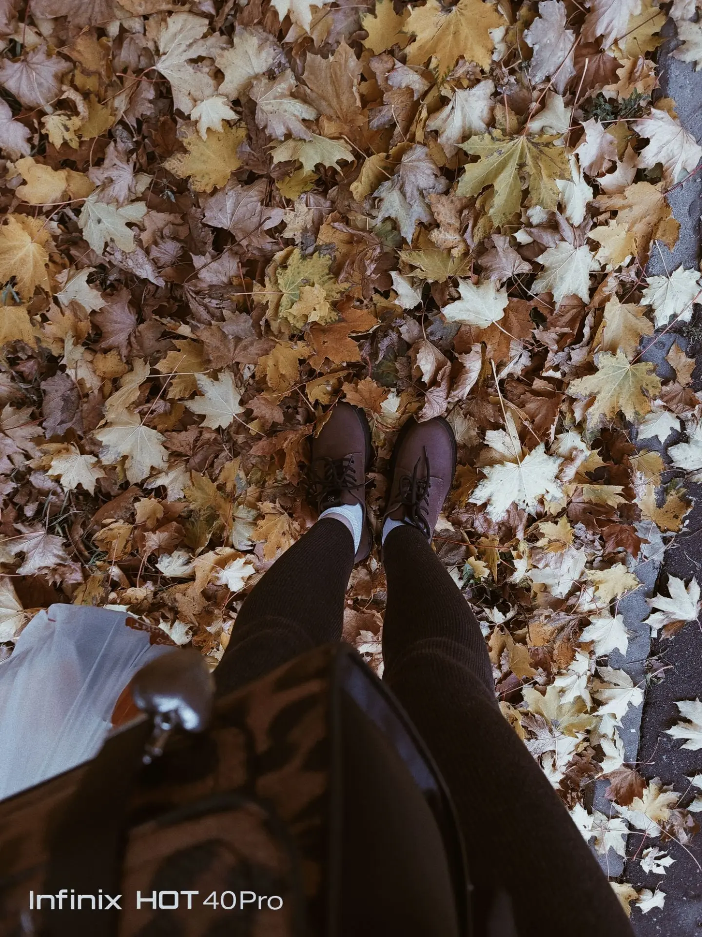 Ох уж эти прекрасные листочки 🤎🍁