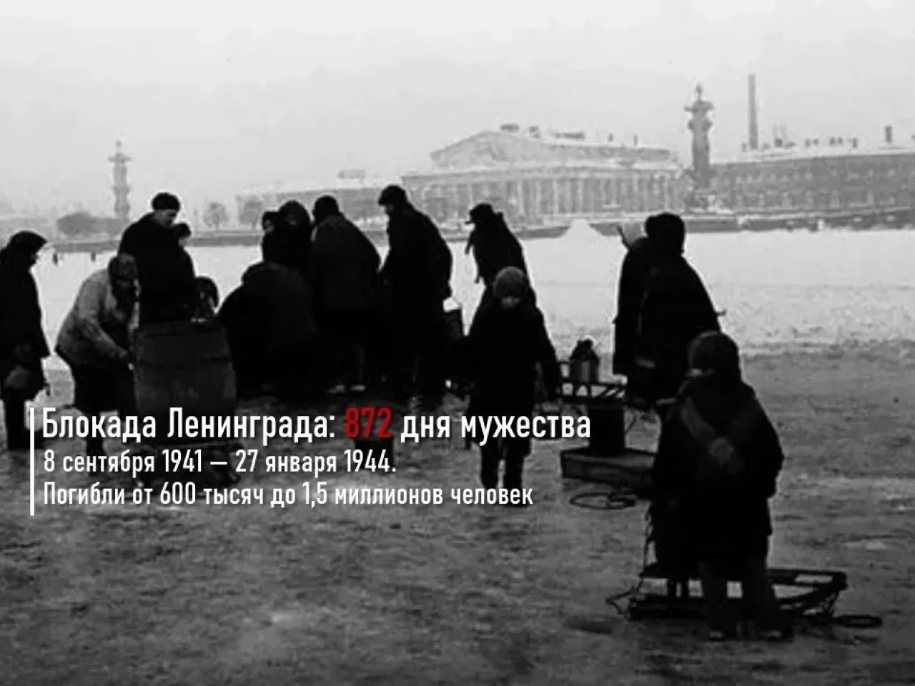 8 сентября - дата, которая отзывается в сердце каждого ленинградца-петербуржца🕊