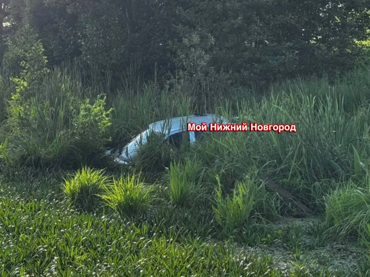 В поселке Нагулино автомобиль скатился в речку Гниличка.

🇷🇺@murom_navashino