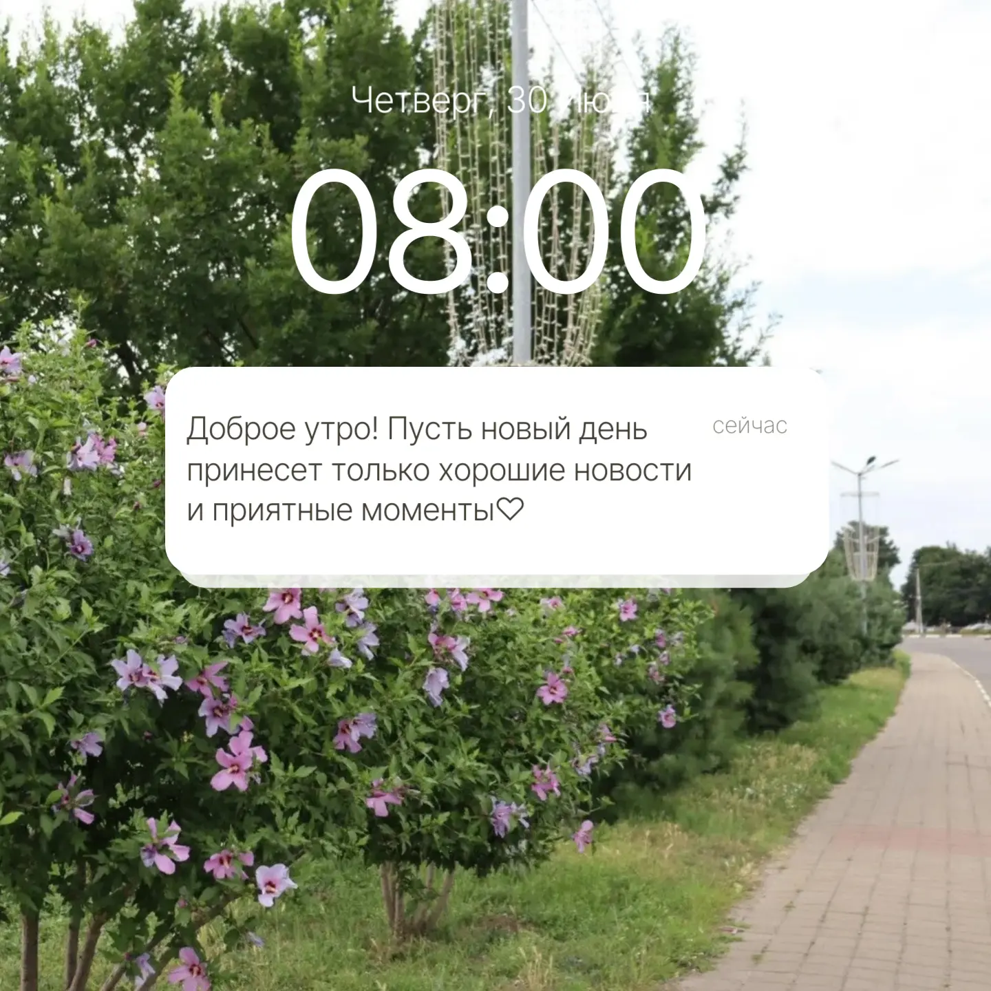 ☀️Доброе утро, Гулькевичи!