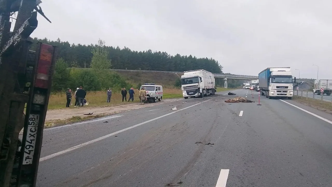 Опубликованы фото с трассы М-5, где перевернувшийся «Валдай» покалечил пешехода