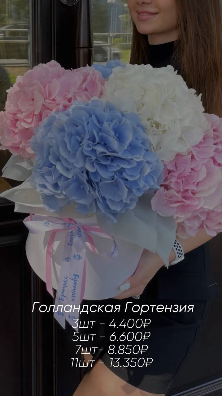 ГОЛЛАНДСКАЯ ГОРТЕНЗИЯ💕
для заказа пишите менеджеру🙌