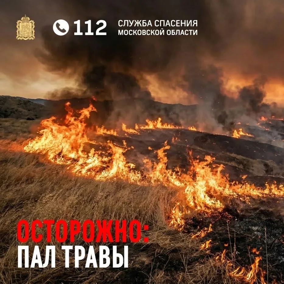 «Мы просто хотели очистить участок от старой травы» — самая частая фраза, которую слыша...