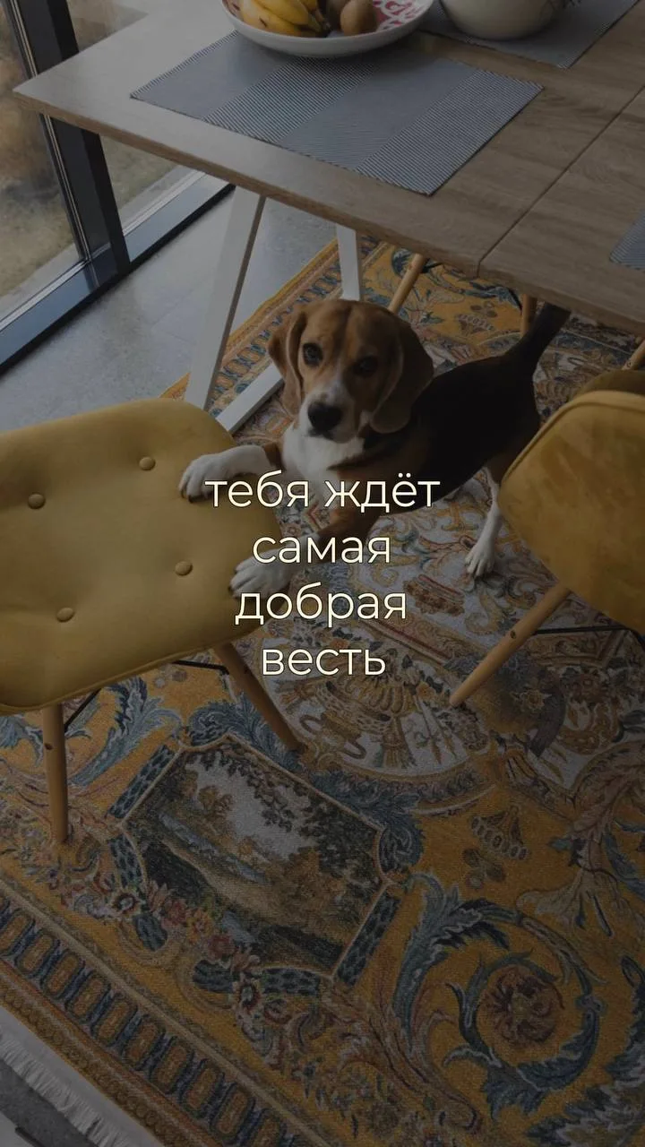 Ну что, немного мотивации, чтобы конец рабочей недели прошел позитивнее 💚