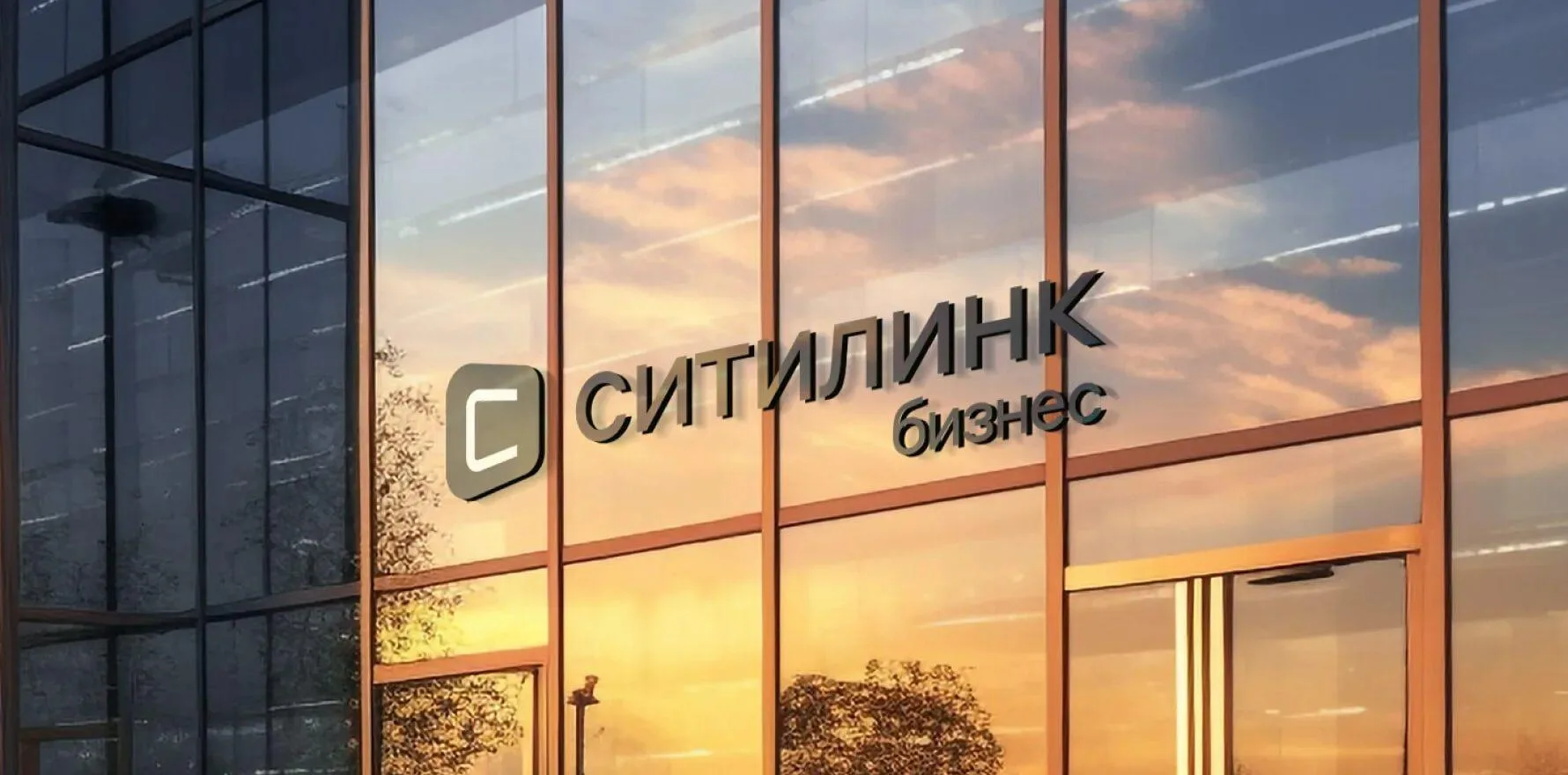 «Ситилинк» добился своего