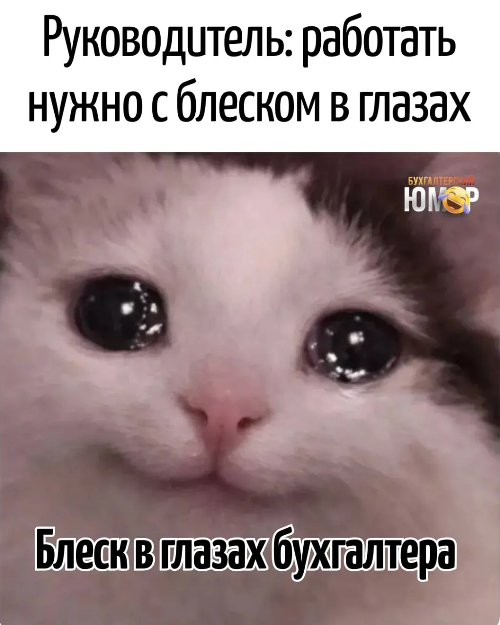 😂 блеск пока только такой