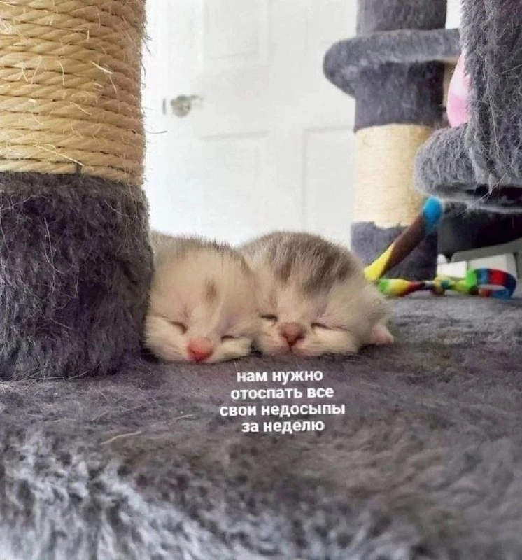 Перешли 😄