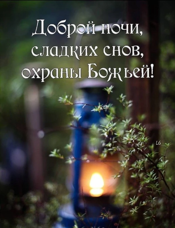 Доброй ночи, дорогие 🕊

«Живущий под кровом Всевышнего под сенью Всемогущего покоится».
— Псалом 90