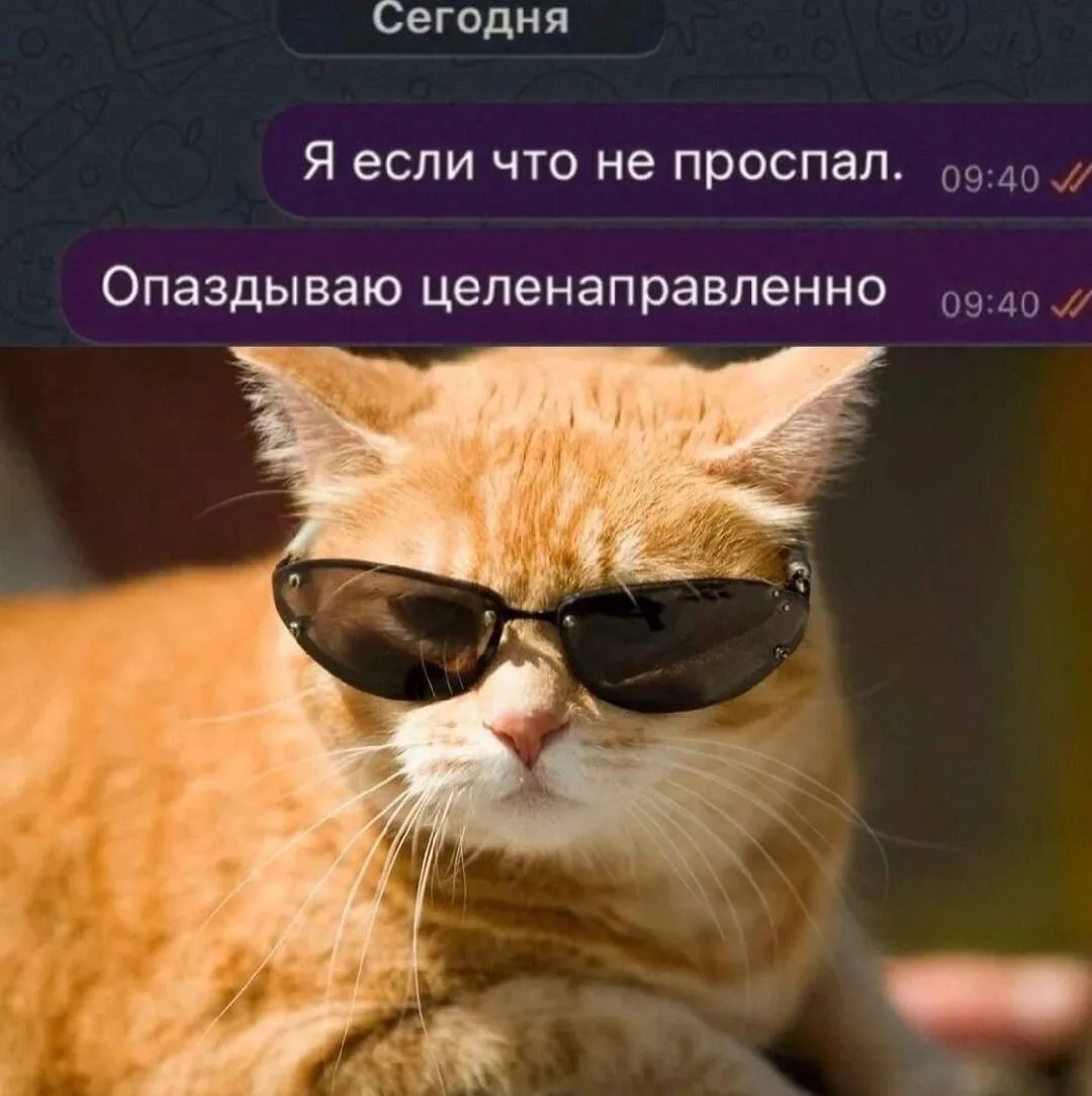 День опозданий отмечается