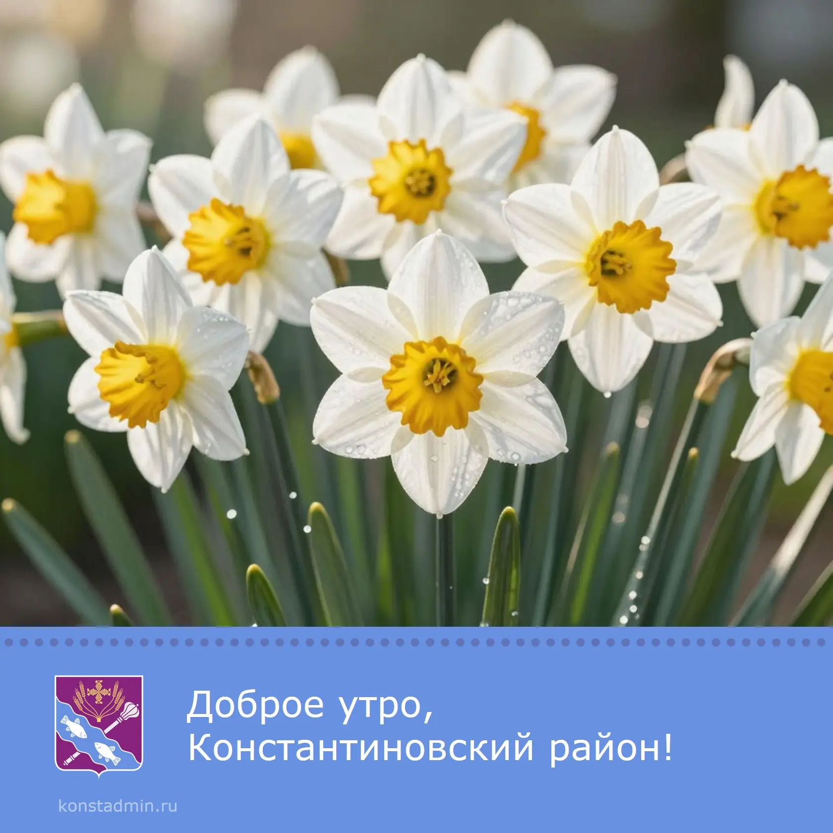 Доброе утро, уважаемые жители Константиновского района!  Замечательного дня. Пусть он пройдет весело