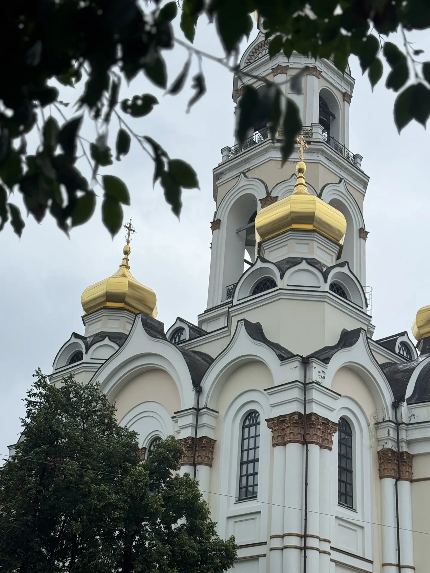 Наше тихое дождливое воскресное утро 🕊️

Вера — не мечта, а живая сила, которая движет человеком; о