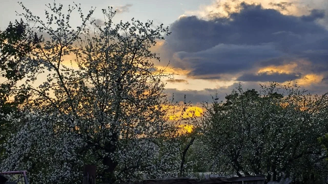 Как упоительны вечера в Тульской области! 🌆    Особенно когда стоит ясная погода.    Любуемся красив