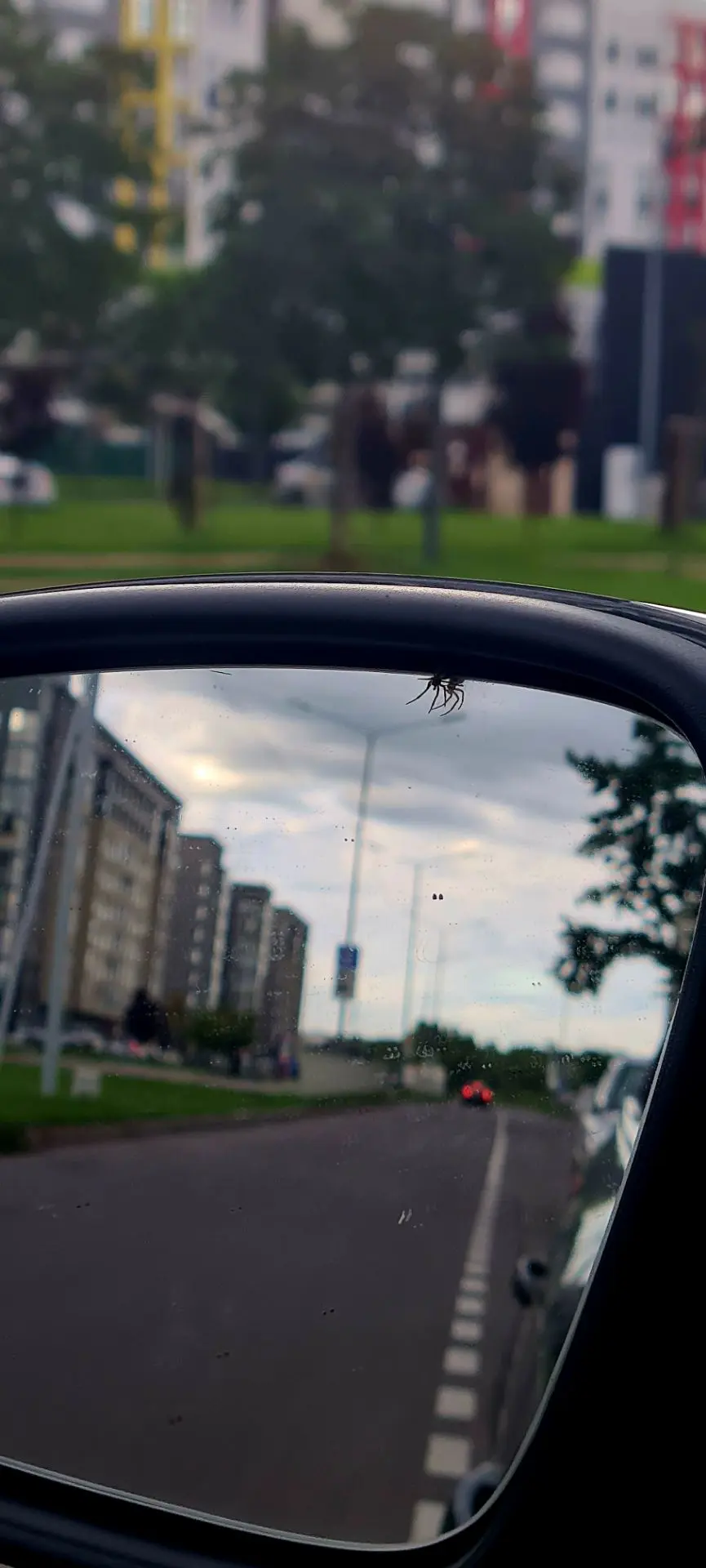Утро. Четверг. 23 июля. И 17 часов хаоса с многолапым штурманом 🕷️🌧️Приветствую вас в...