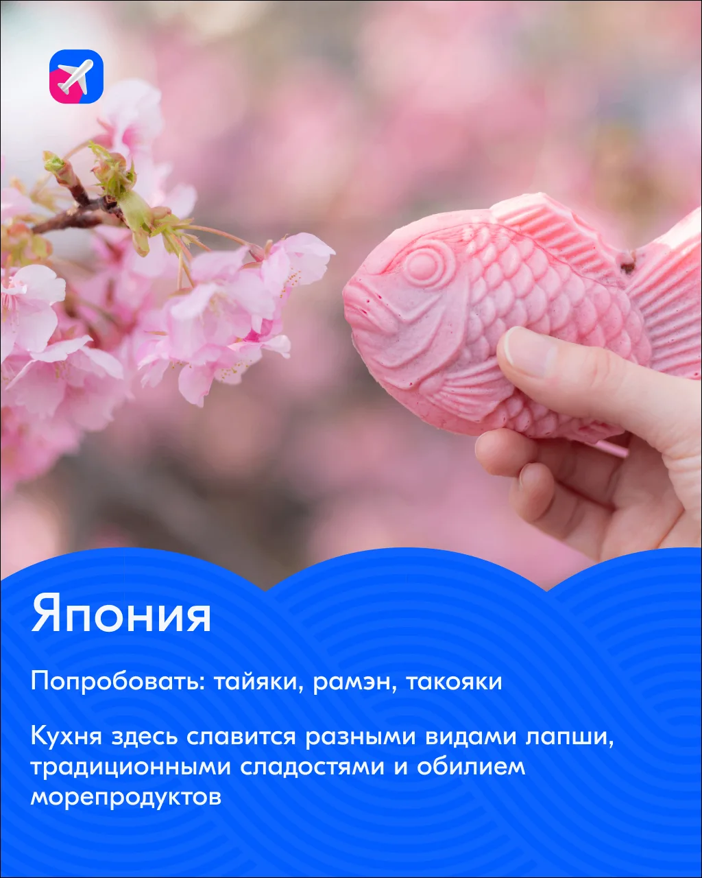Чтобы понять Азию, её нужно попробовать🍵  Собрали рекомендации традиционных блюд в разных странах, и
