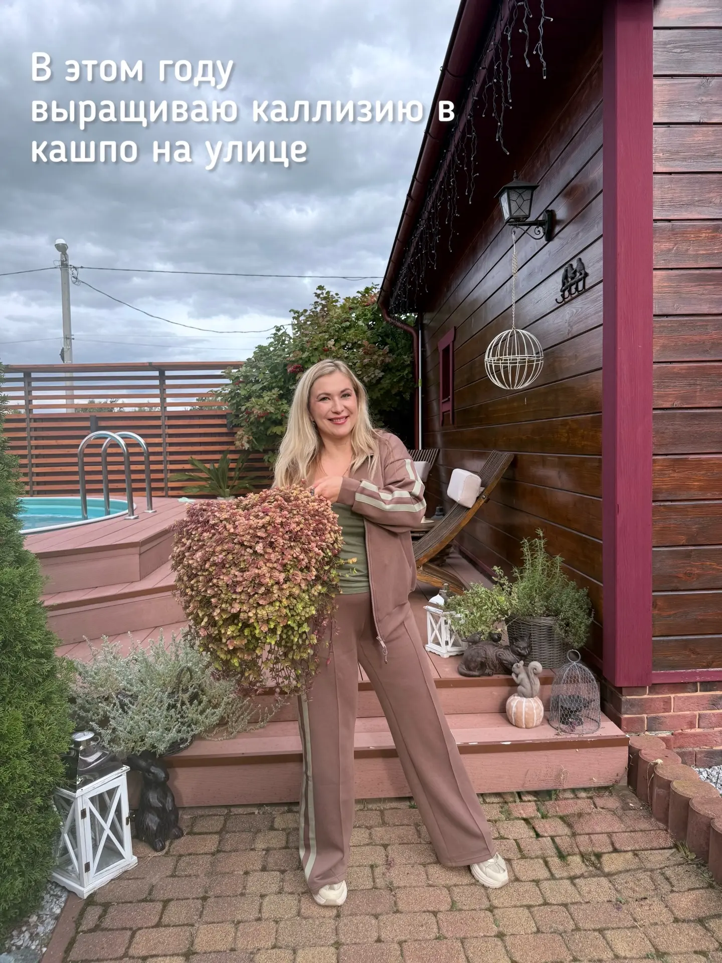 В этом году снова выращиваю каллизию в кашпо на улице и очень довольна.