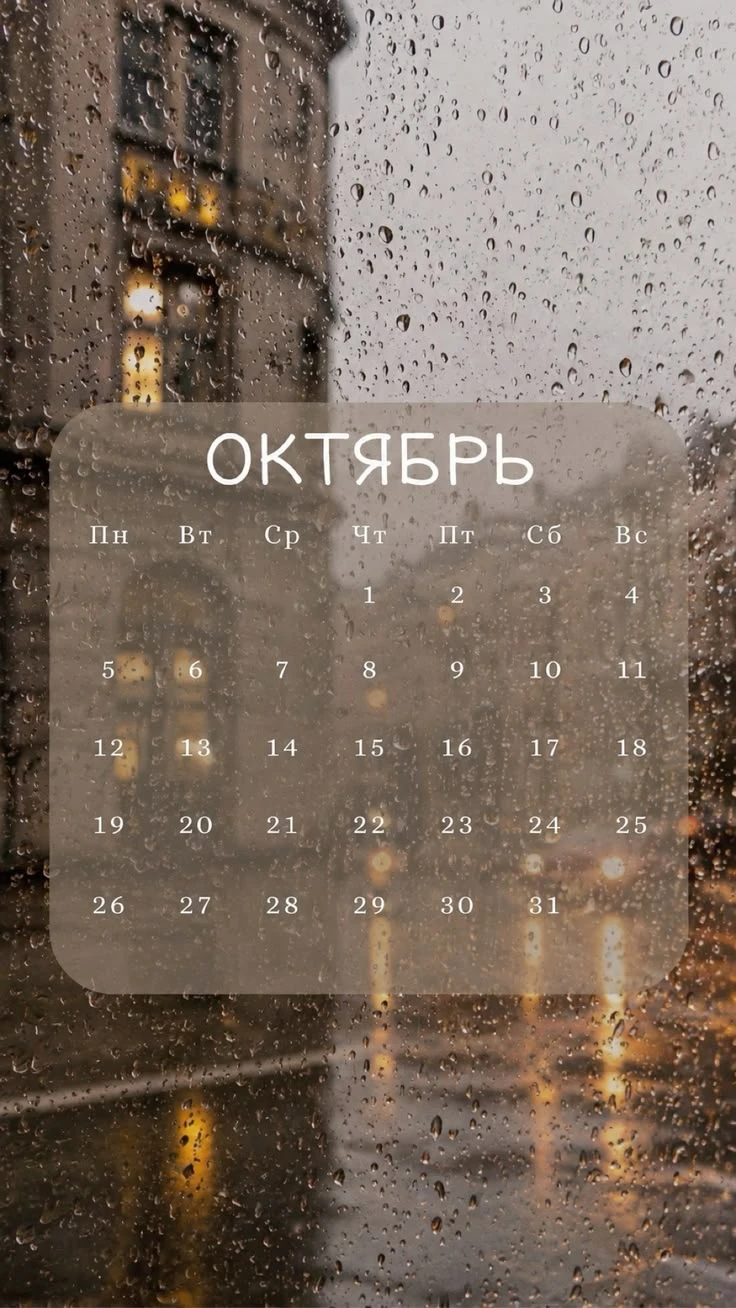Готовимся к №5 (ЕГЭ), учим паронимы вместе!