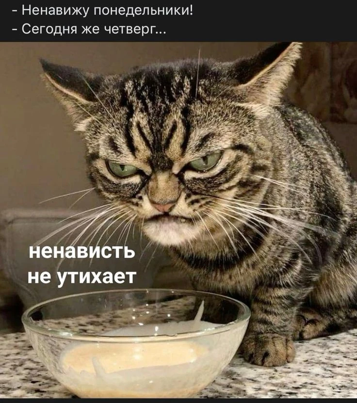 Доброе утро ☀️