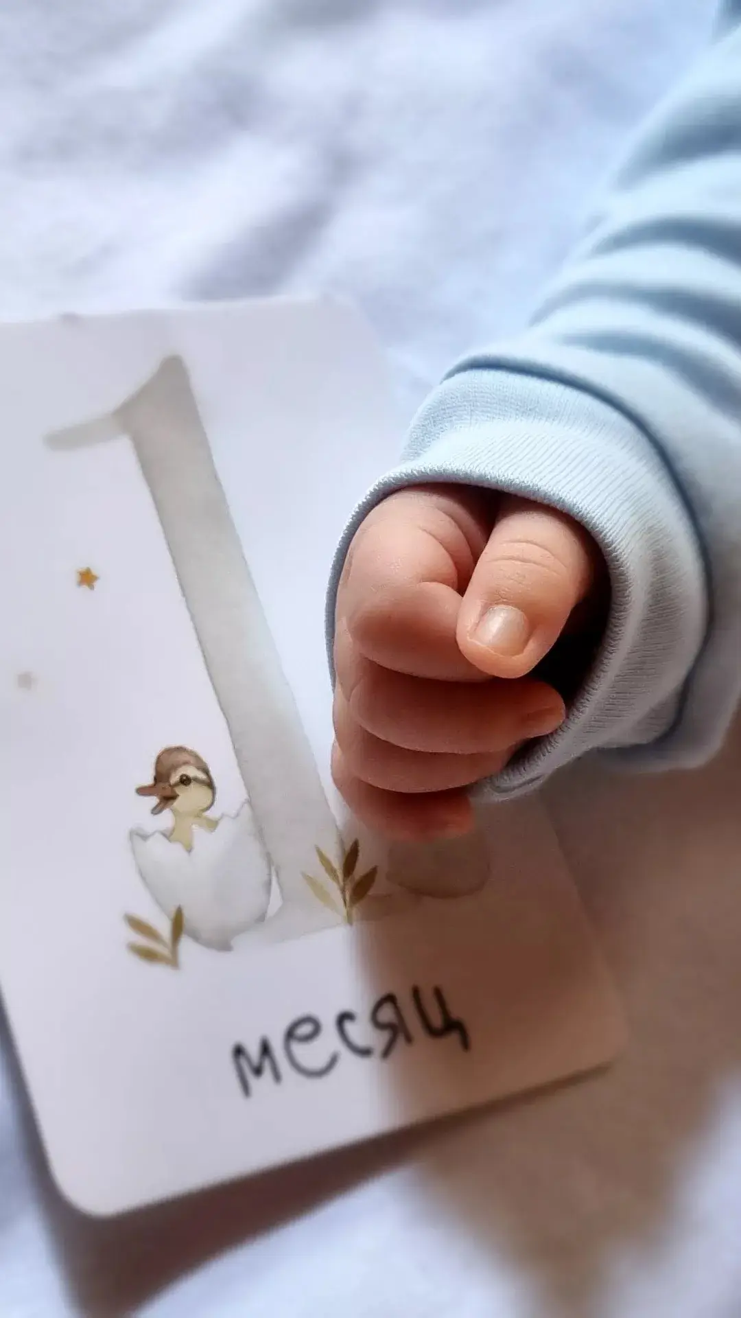 И еще отзыв прилетел сегодня: