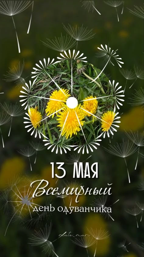 13 мая — Всемирный день одуванчика