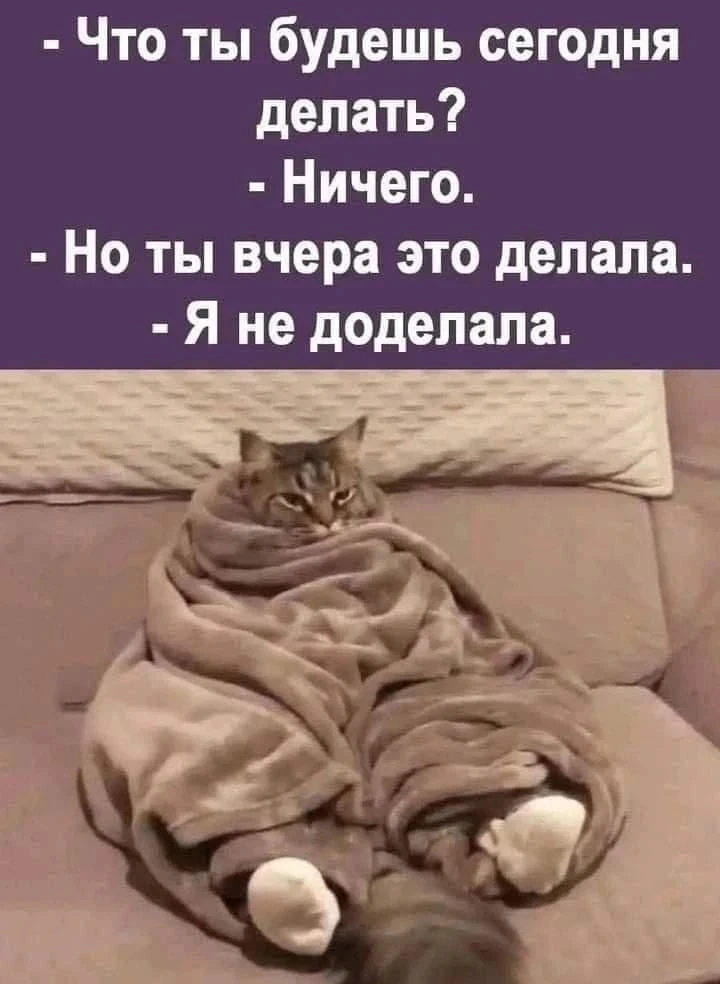 😄Православные тоже шутят - Позитивный канал, с доброй и душевной атмосферой.

Дорогие братья и сест