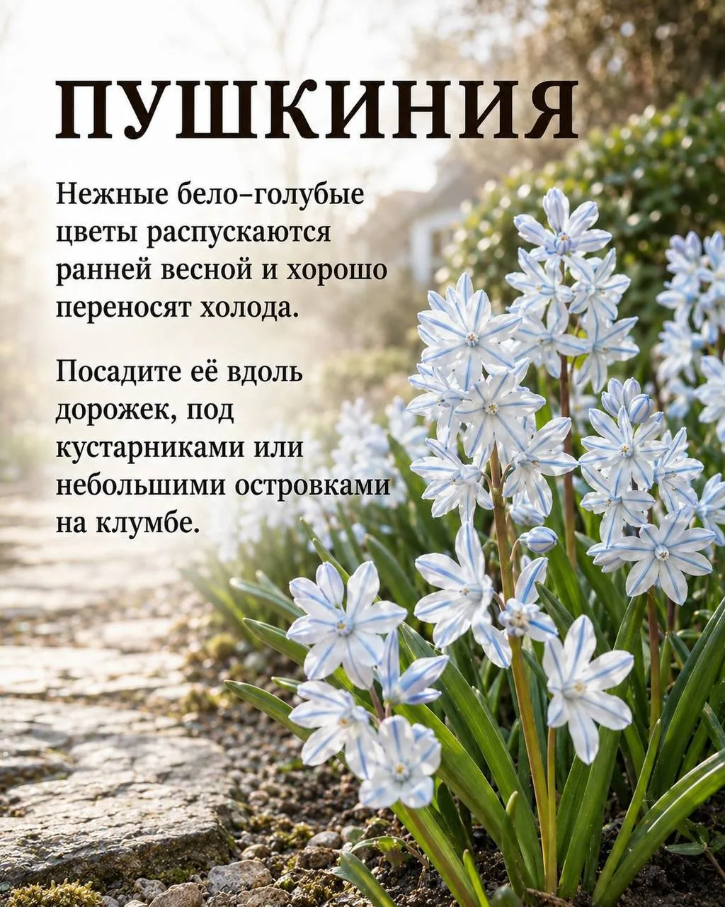 Изображение 2 к публикации «Моя Дача»