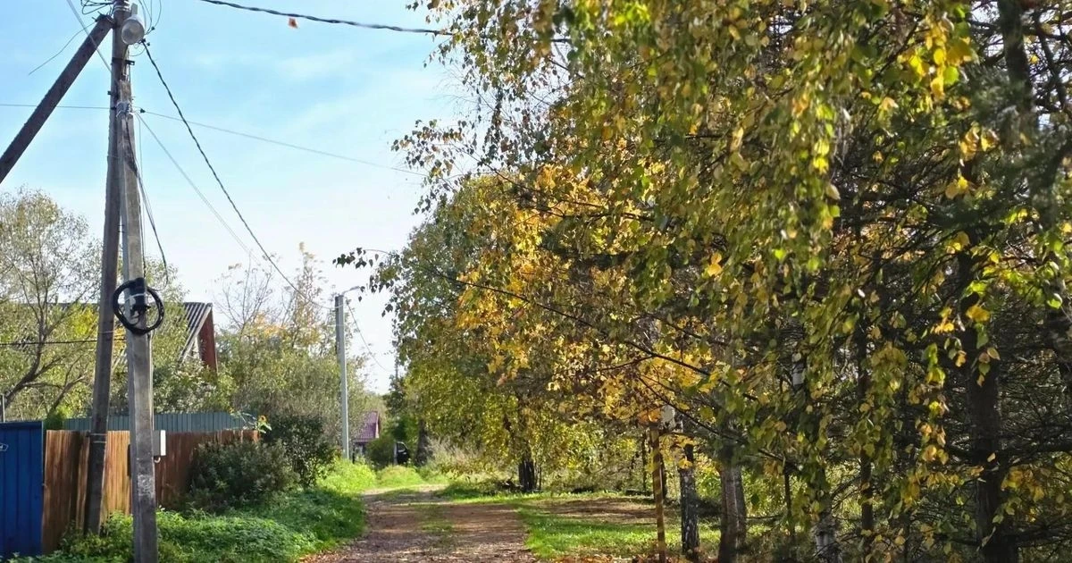 В Купелицах установили освещение и отсыпали дорогу 💡