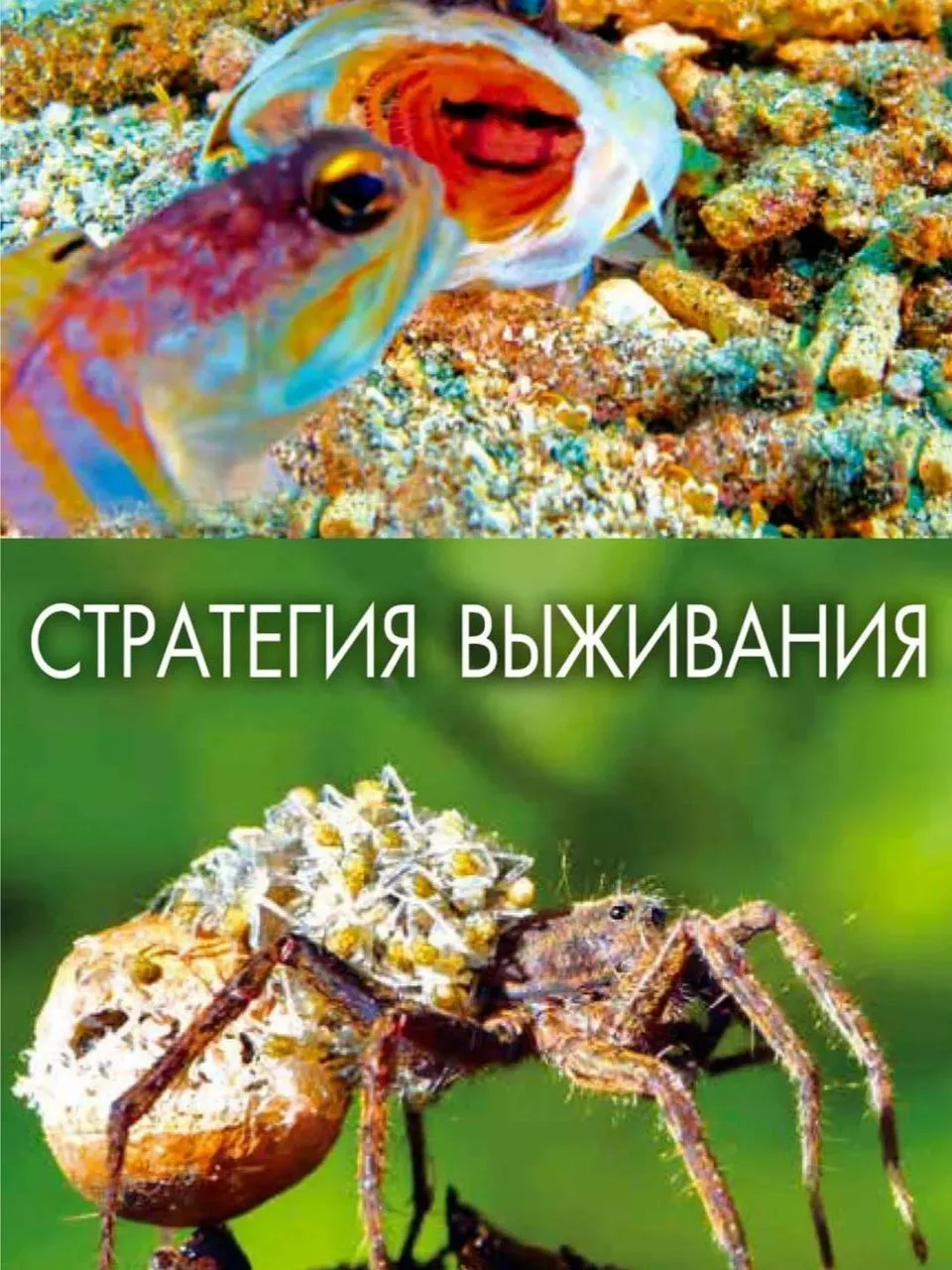 ✨ 9 документалок, которые прокачают любопытство вашего ребёнка.  Они помогут взглянуть на науку и пр
