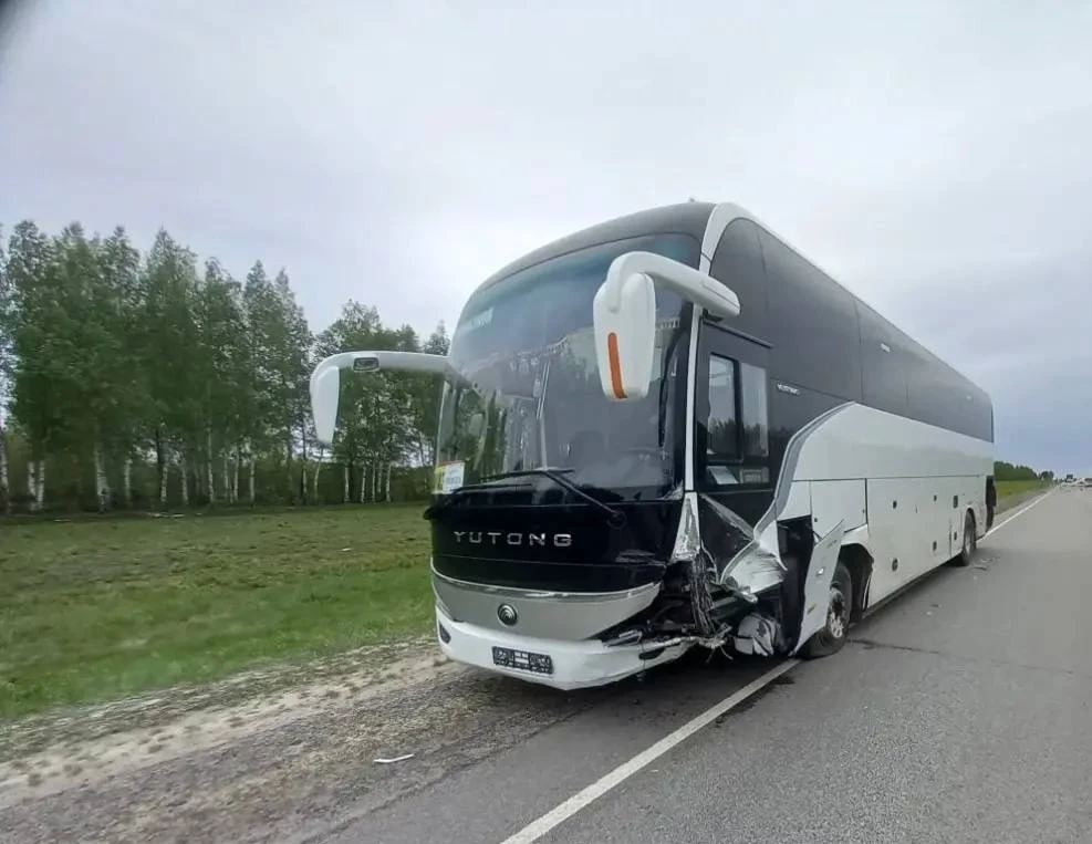 В Пензенской области пассажирский автобус столкнулся с иномаркой  Авария произошла на 441 км дороги 