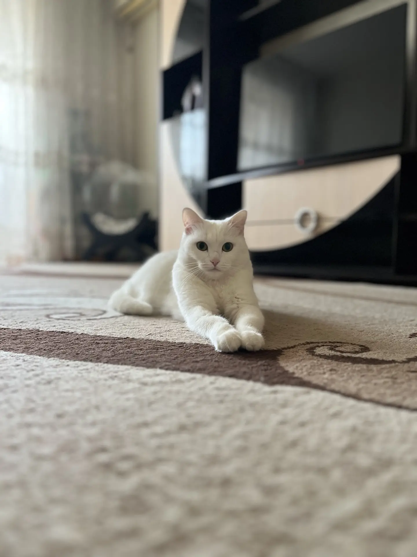 Афина 🥰