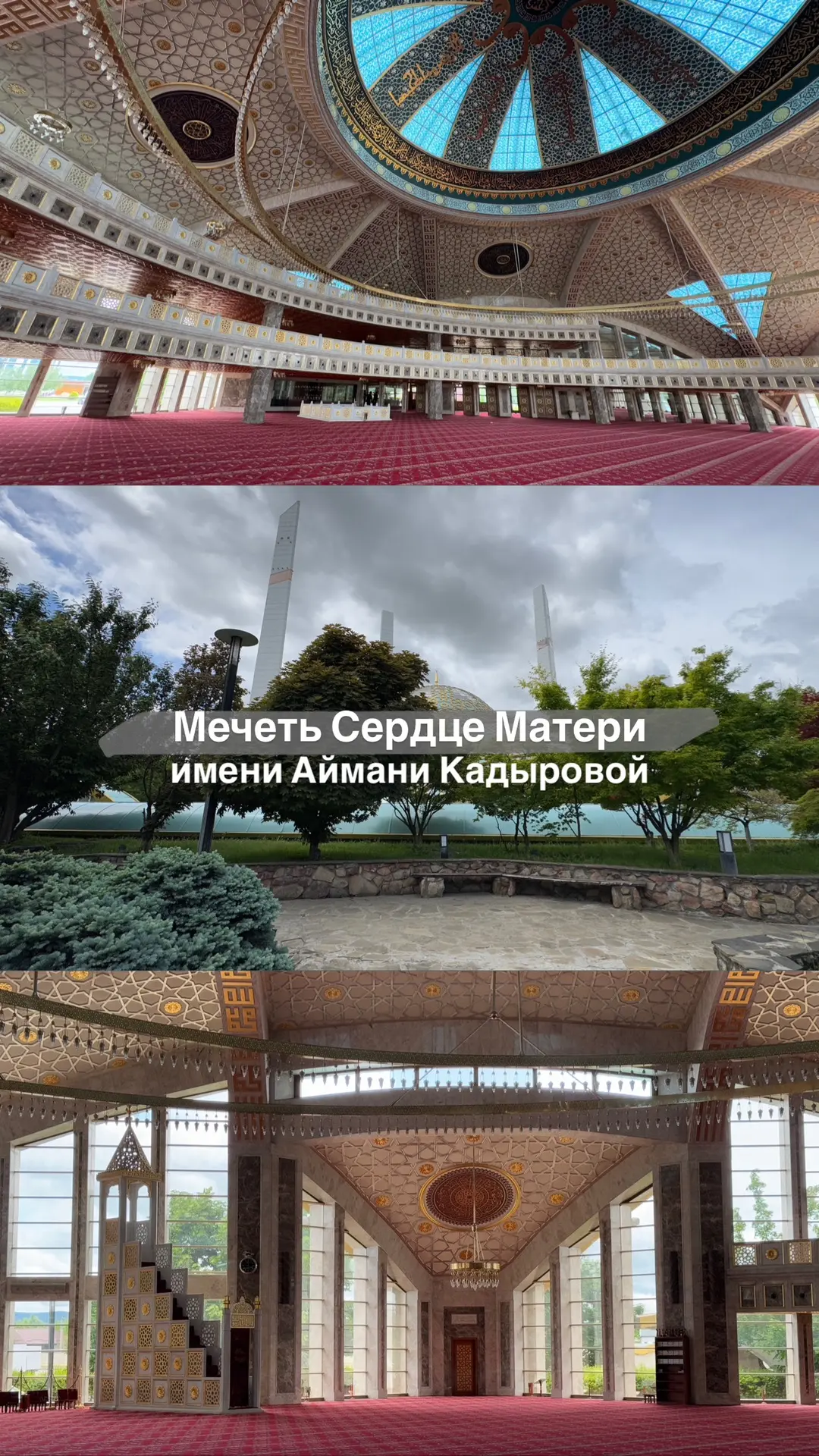 Шали, Аргун + Вечерний Грозный 🔥