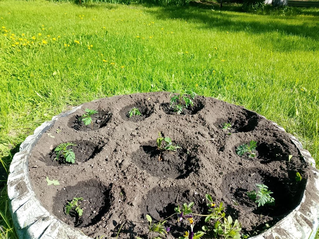 💚Зелёные дела🌱