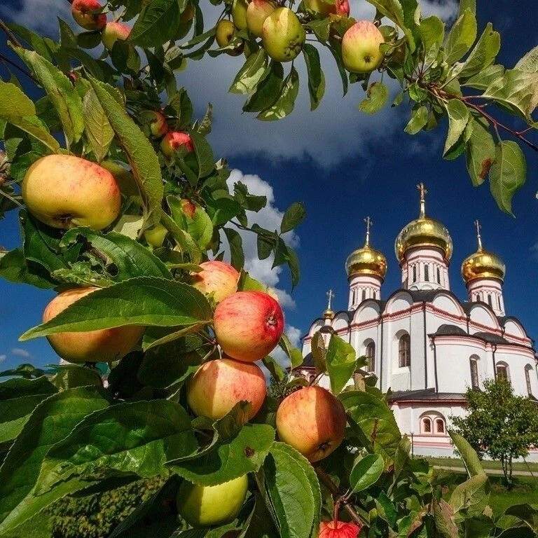 Дорогие верхнеказымчане! Примите поздравления с Яблочным Спасом! Ежегодно этот праздник...