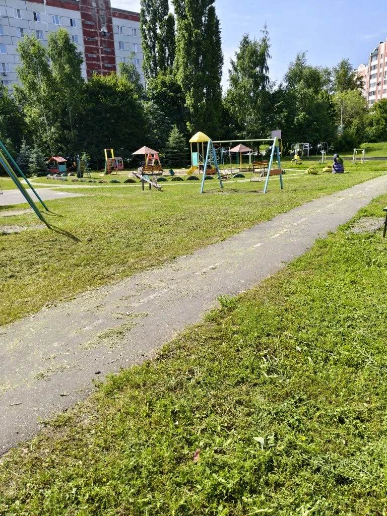 Привели в порядок газоны. 🌿