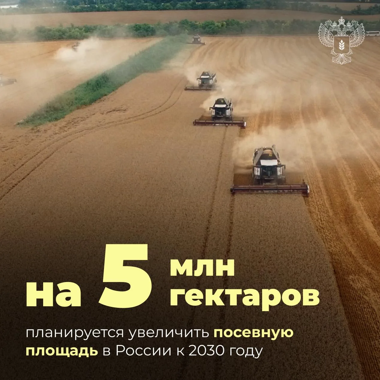 🌾 К 2030 году в России планируется увеличить посевную площадь не менее чем на 5 млн га