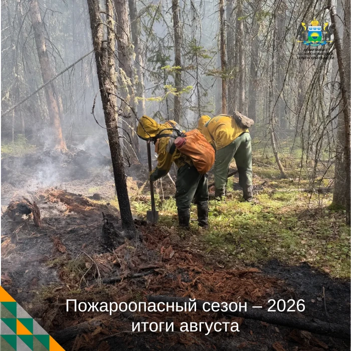 🔥 В августе в лесах Тюменской области зафиксировали 3 лесных пожара. Общая площадь, пр...