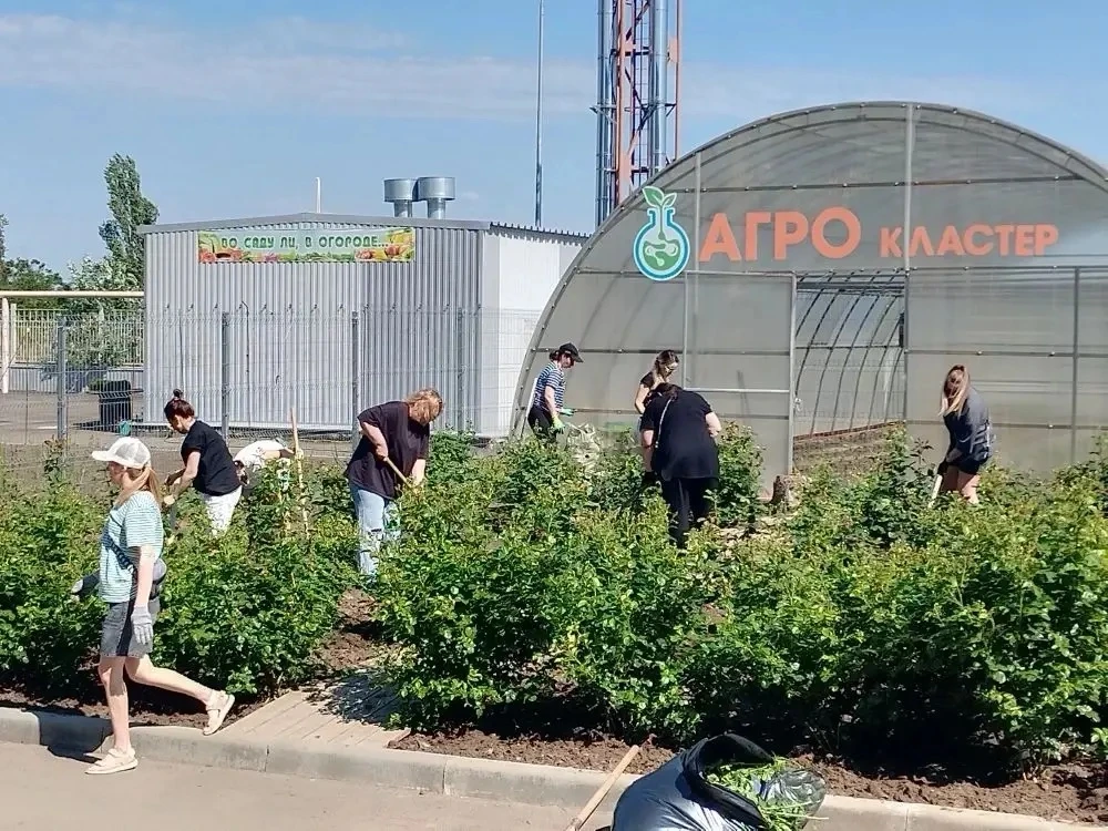 ✨Хорошо, когда дружно и все вместе!   Родители учеников начальной школы привели в порядок школьный р