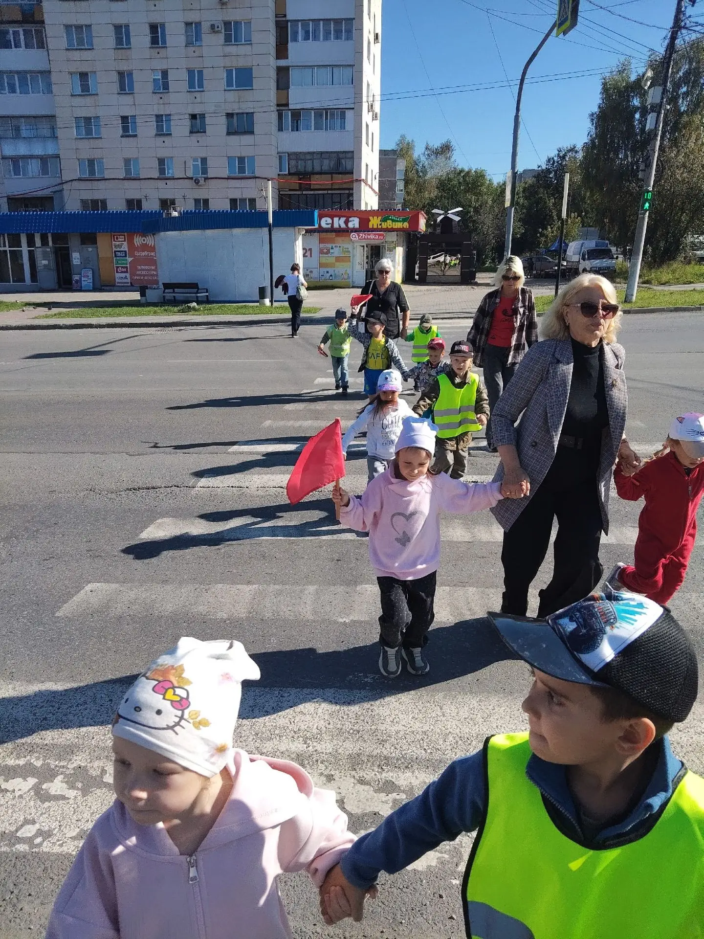 🚦 Учимся переходить дорогу правильно!