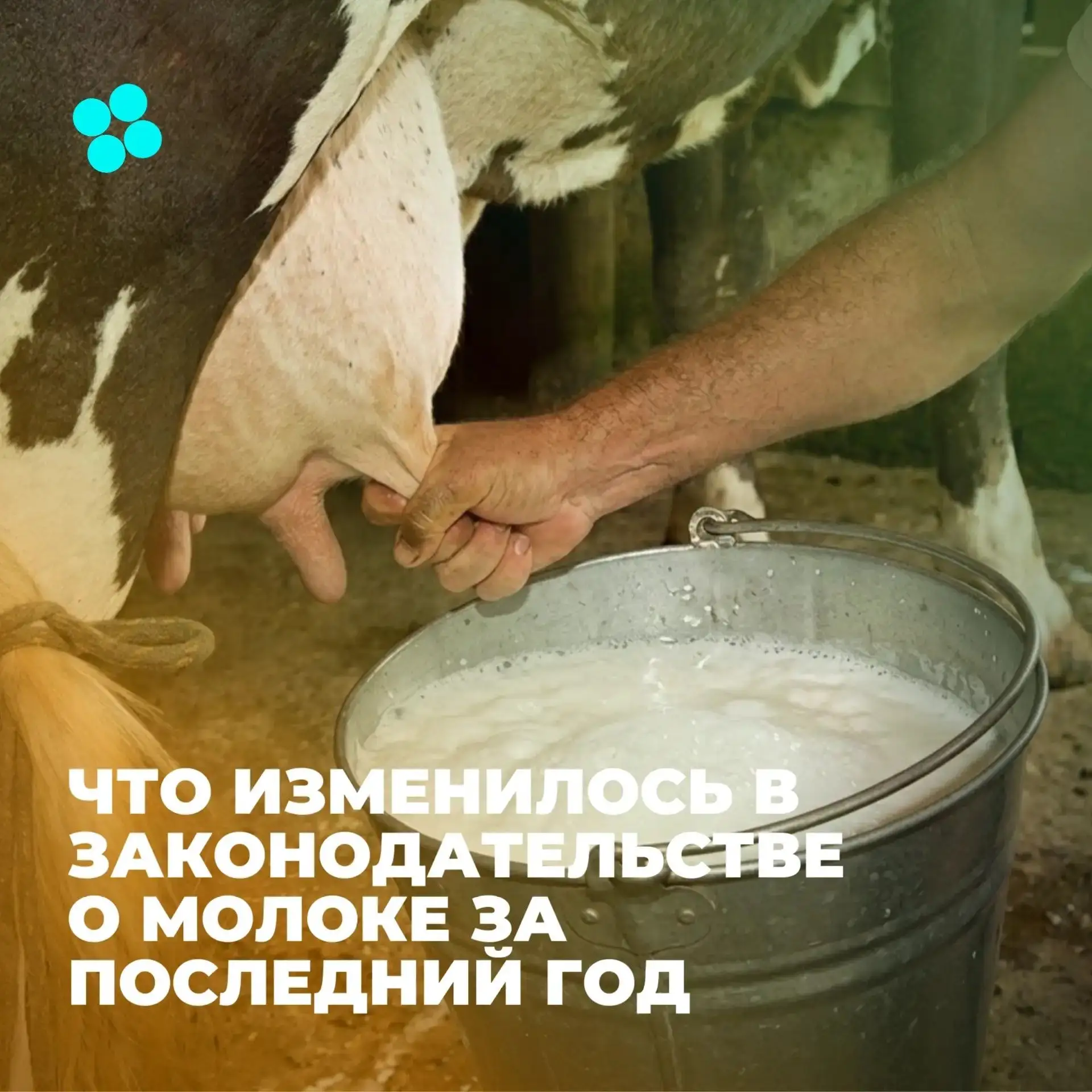 Молоко сегодня — это уже не только ферма, танк-охладитель и заводская линия. Это ещё и ...