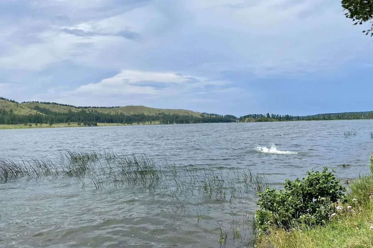 🌊 11 человек погибли на воде за выходные

За два выходных дня в Башкирии утонули 11 человек, в том 