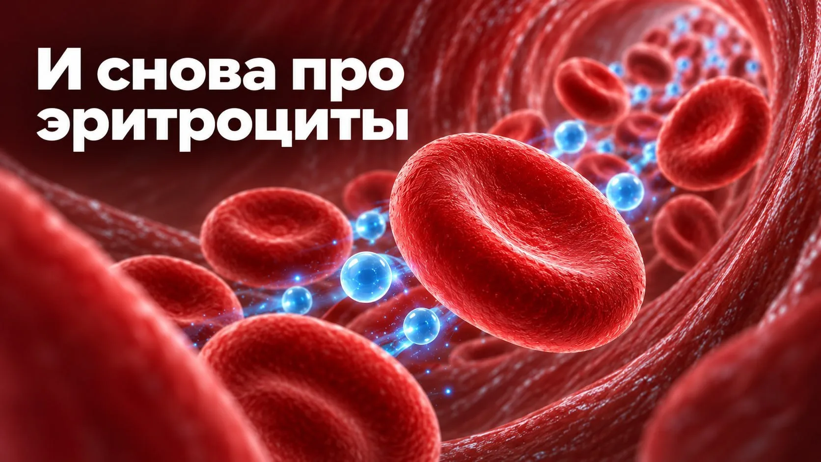 И снова про эритроциты: что можно узнать из общего анализа крови?