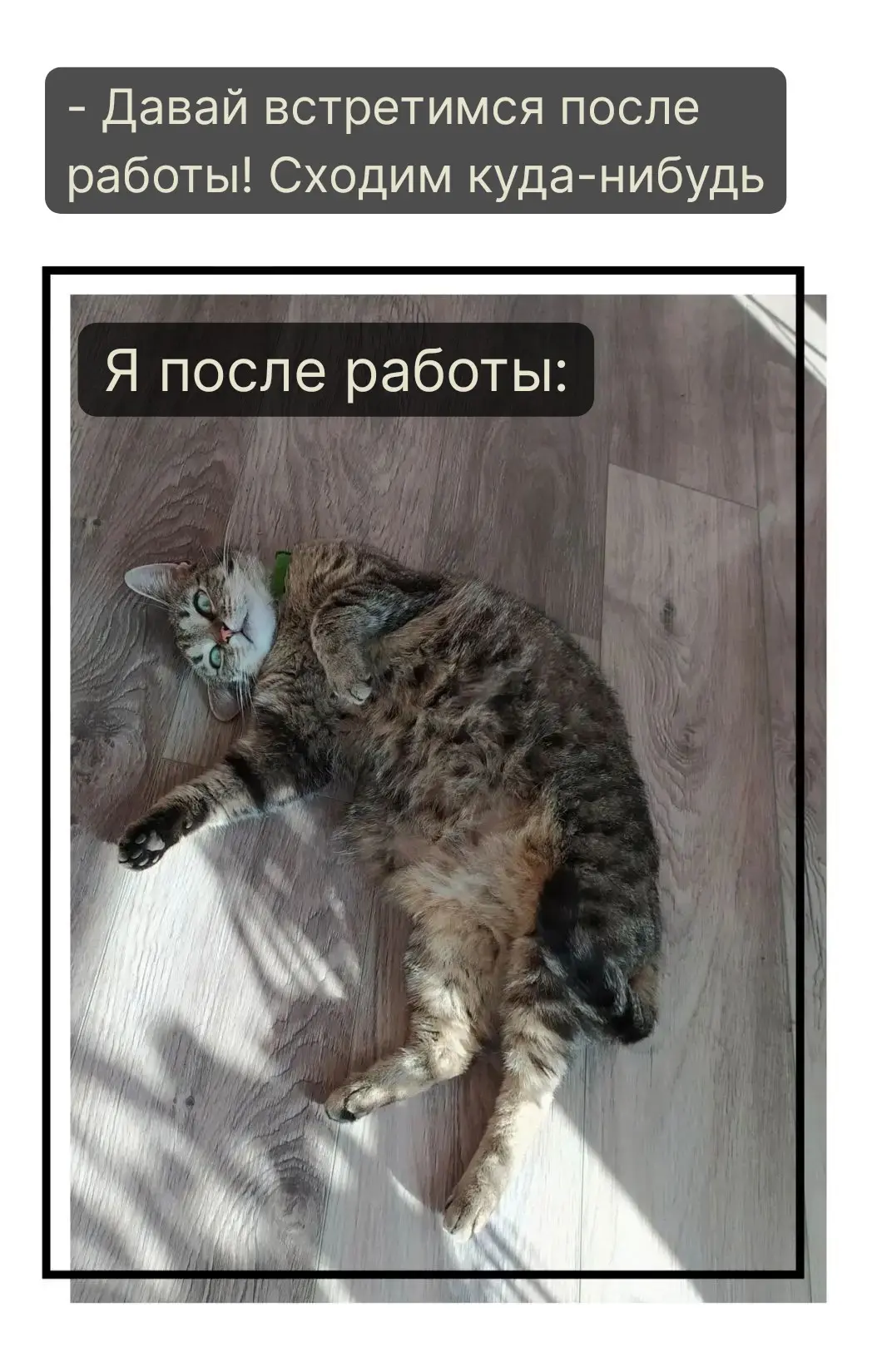 Понедельник - день тяжёлый💔 Для того, чтобы хоть немного его скрасить, мы с Плюшей  со...