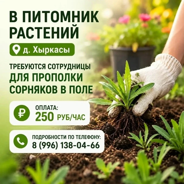 В садовый центр, расположенный в д. Хыркасы, ул. Молодежная, д.1А, требуются сотрудники.