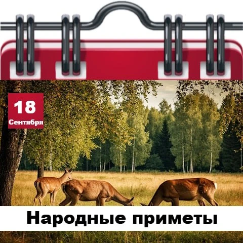 Народные приметы 18 сентября