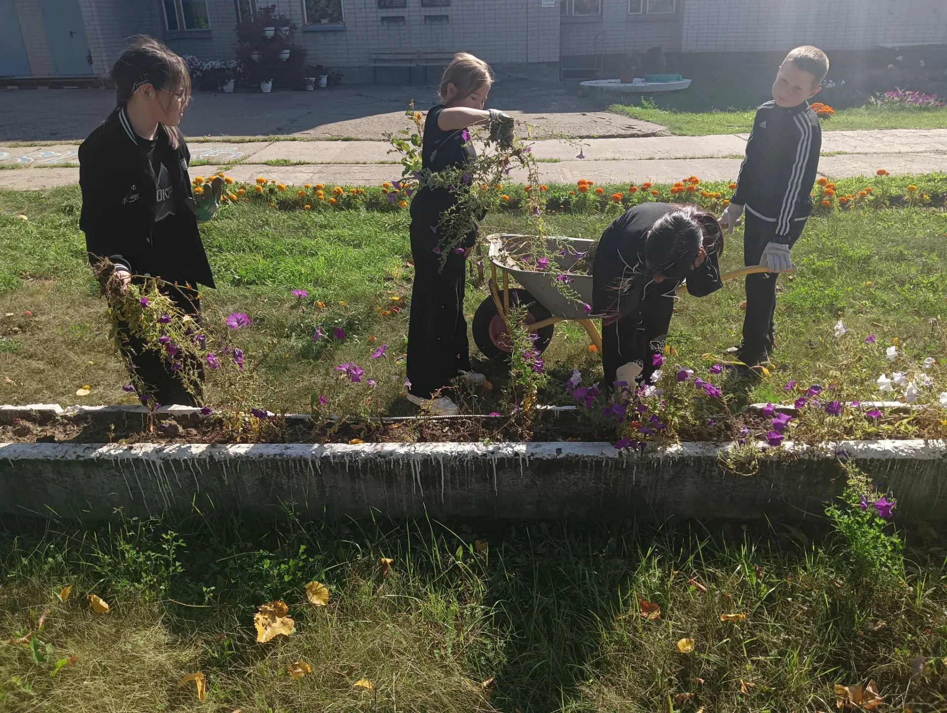 В тёплый осенний день ученики и педагоги собрались на субботник, чтобы подготовить школ...