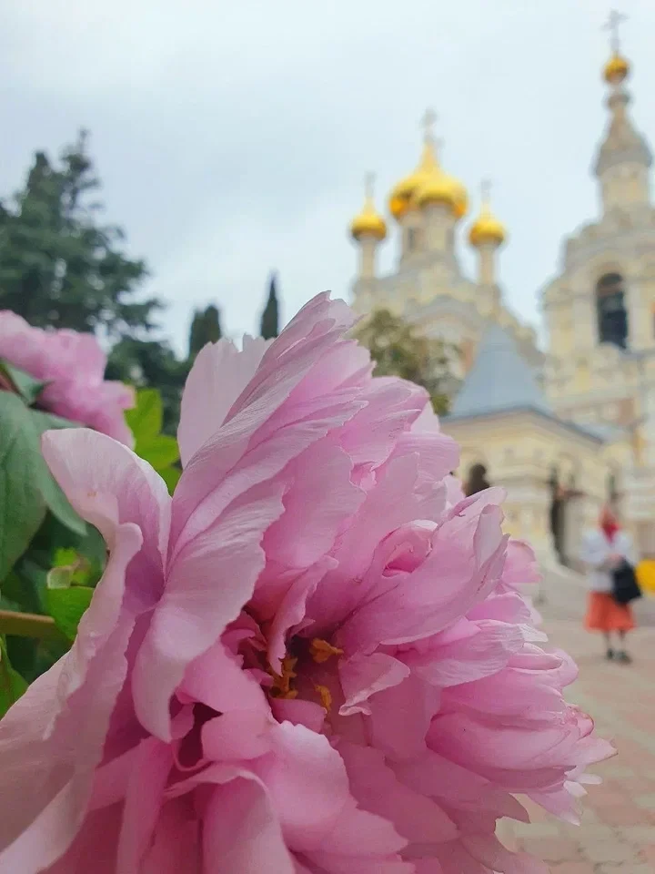 С Днем Святой Троицы, друзья!  🕊️