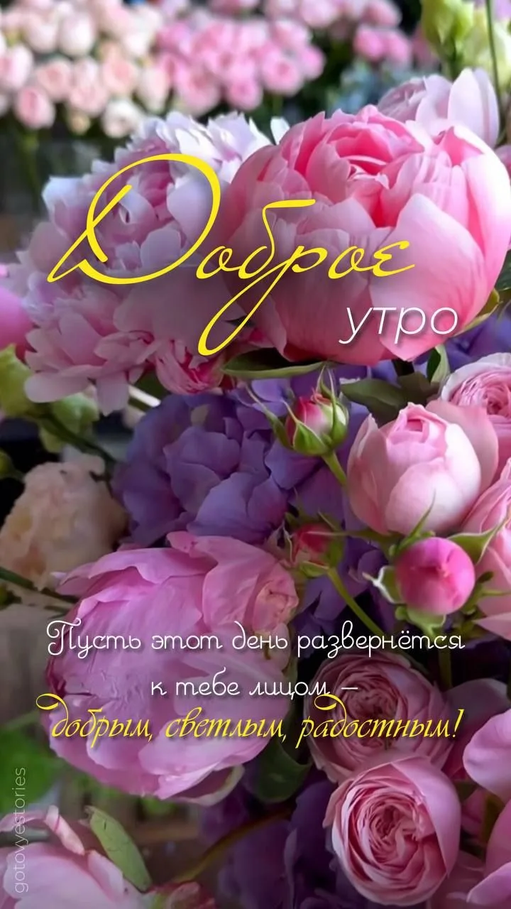 Доброе утречко!! 
Пусть всё у всех будет хорошо!!❤️❤️❤️❤️❤️❤️