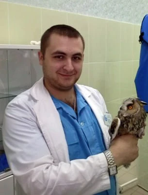 Ульяновцы приняли уставшую сову за больную и отвезли ее к ветеринарам.