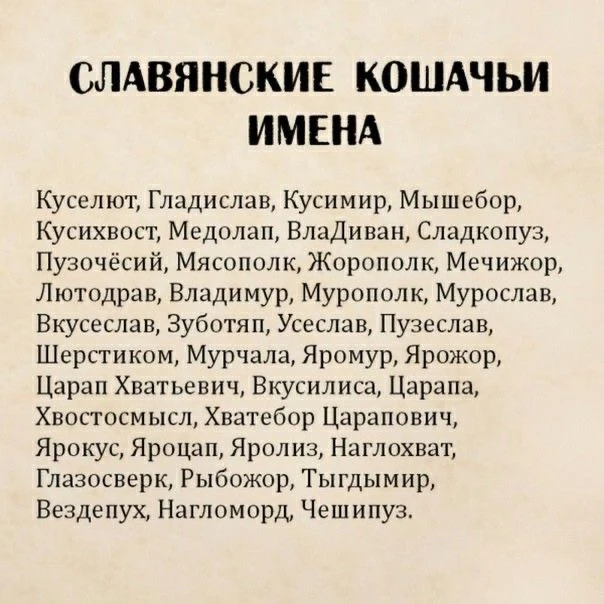 Доброе утро в #культурной_среде
